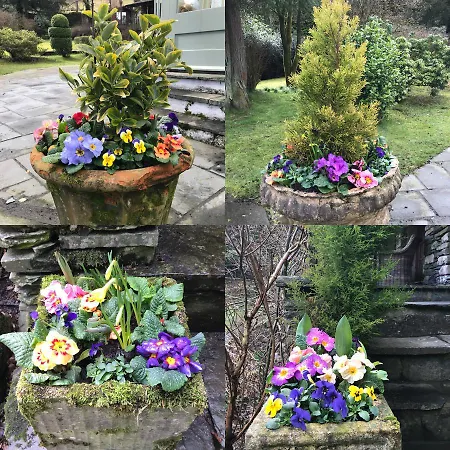 Bed & Breakfast Walker Ground Manor 5*