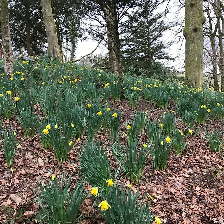 Walker Ground Manor 5* Hawkshead