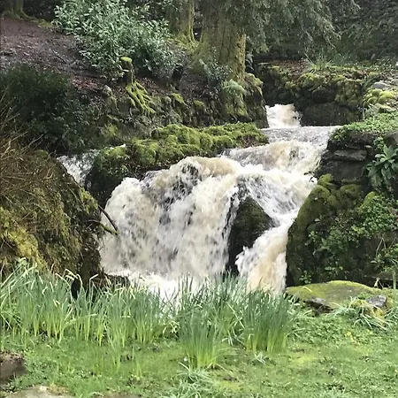 Bed & Breakfast Walker Ground Manor 5*