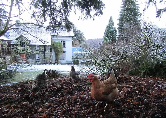 Walker Ground Manor Bed & Breakfast 5*