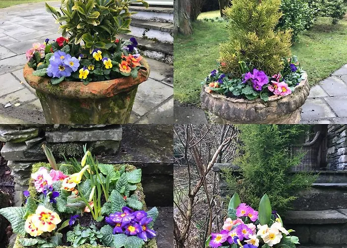 Bed & Breakfast Walker Ground Manor 5*