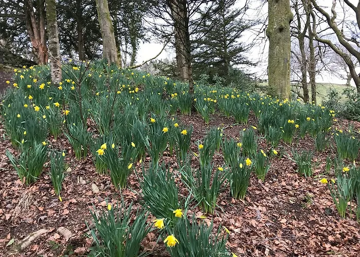 Walker Ground Manor 5* Hawkshead