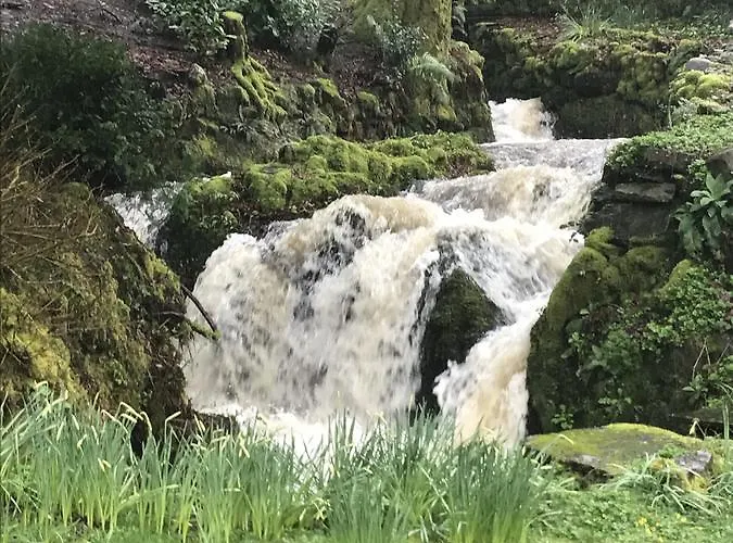 Bed & Breakfast Walker Ground Manor 5*